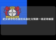 武汉卓尔对石家庄永昌比分预测一场足球盛宴
