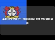 英超欧文足球比分预测揭秘未来战况与策略分析