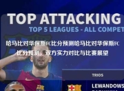 哈马比对华保斯FC比分预测哈马比对华保斯FC比分预测，双方实力对比与比赛展望