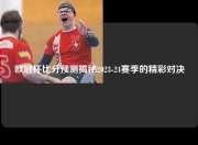 欧冠杯比分预测揭秘2023-24赛季的精彩对决