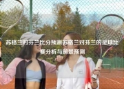 苏格兰对芬兰比分预测苏格兰对芬兰的足球比赛分析与前景预测