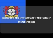 哈马比对北雪平比分预测预测北雪平VS哈马比的足球比赛结果