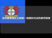 圣何塞费城比分预测一场精彩对决的激烈预测