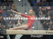 天津泰达足球赛事直播一场热血沸腾的盛宴