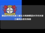 横滨水手对水原三星比分预测横滨水手对水原三星的分胜负预测