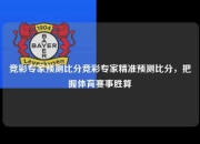 竞彩专家预测比分竞彩专家精准预测比分，把握体育赛事胜算