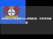 欧洲杯比分预测启98dbin把握机遇，尽享足球盛宴