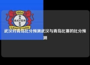 武汉对青岛比分预测武汉与青岛比赛的比分预测