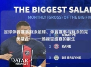 足球体育赛事游泳足球、体育赛事与游泳的完美融合——一场视觉盛宴的诞生
