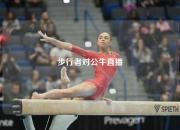 步行者对公牛直播
