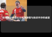 欧洲杯分析及比分预测激情与挑战并存的盛宴