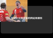 足球比分预测准的网站有哪些