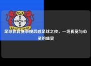 足球体育赛事观后感足球之夜，一场视觉与心灵的盛宴
