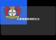 大神预测欧洲杯比分