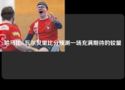 哈马比vs瓦尔贝里比分预测一场充满期待的较量