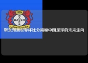 靳东预测世界杯比分揭秘中国足球的未来走向