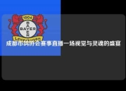 成都市鸽协会赛事直播一场视觉与灵魂的盛宴
