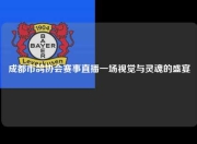 成都市鸽协会赛事直播一场视觉与灵魂的盛宴