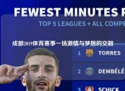 成都2019体育赛事一场激情与梦想的交融