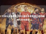 石家庄体育赛事公司石家庄体育赛事公司的崛起与未来展望
