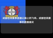 成都信鸽赛事直播云端上的飞鸿，成都信鸽赛事的直播盛况