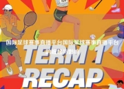 国际足球赛事直播平台国际足球赛事直播平台的崛起与影响