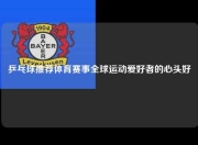 乒乓球推荐体育赛事全球运动爱好者的心头好
