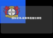 国际足球a级赛事直播在哪看
