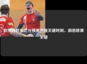 欧洲杯胜负比分预测把握关键时刻，洞悉胜算关键