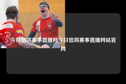 今日信鸽赛事直播网今日信鸽赛事直播网站官网