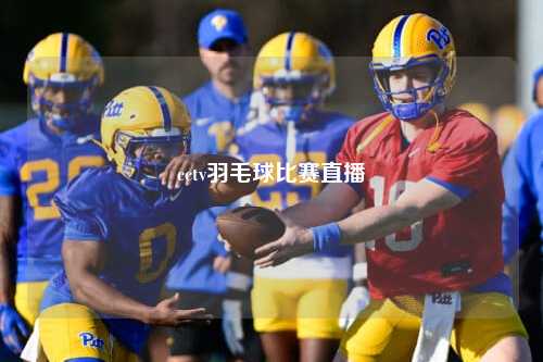 cctv羽毛球比赛直播