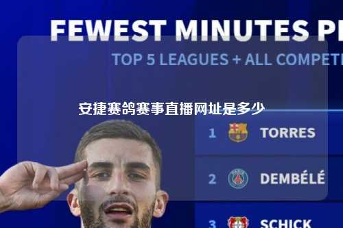 安捷赛鸽赛事直播网址是多少