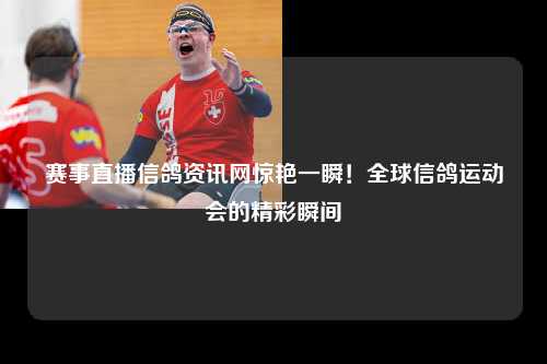 赛事直播信鸽资讯网惊艳一瞬！全球信鸽运动会的精彩瞬间