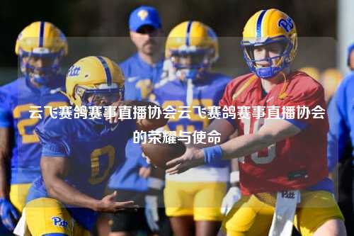 云飞赛鸽赛事直播协会云飞赛鸽赛事直播协会的荣耀与使命