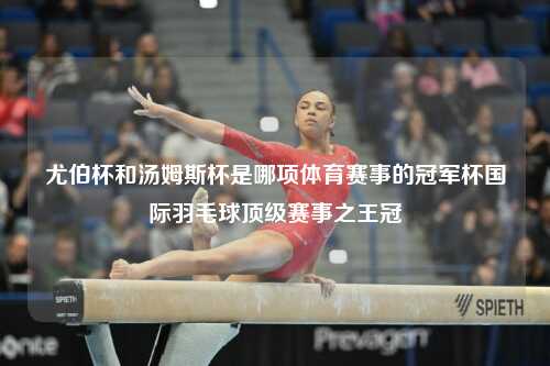 尤伯杯和汤姆斯杯是哪项体育赛事的冠军杯国际羽毛球顶级赛事之王冠
