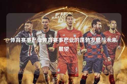 体育赛事产业体育赛事产业的蓬勃发展与未来展望