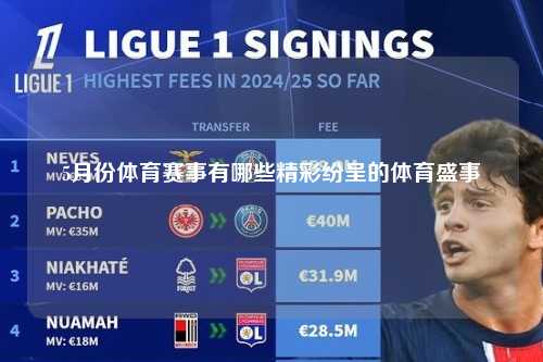 5月份体育赛事有哪些精彩纷呈的体育盛事
