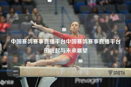 中国赛鸽赛事直播平台中国赛鸽赛事直播平台的崛起与未来展望