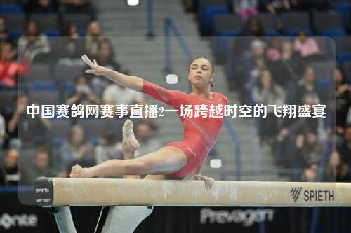 中国赛鸽网赛事直播2一场跨越时空的飞翔盛宴