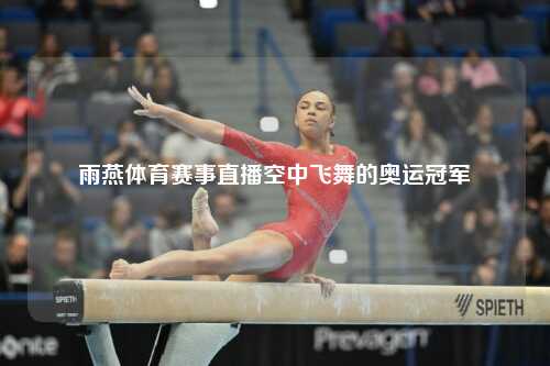雨燕体育赛事直播空中飞舞的奥运冠军