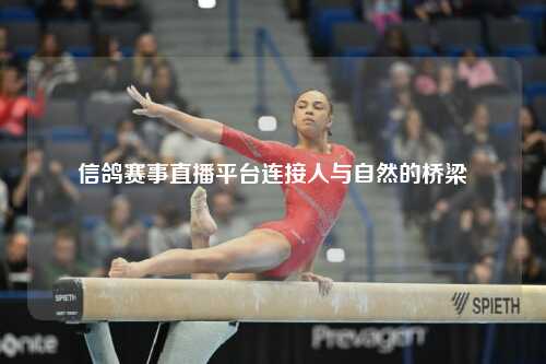 信鸽赛事直播平台连接人与自然的桥梁
