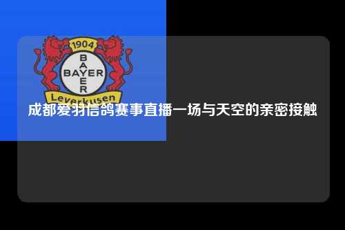 成都爱羽信鸽赛事直播一场与天空的亲密接触
