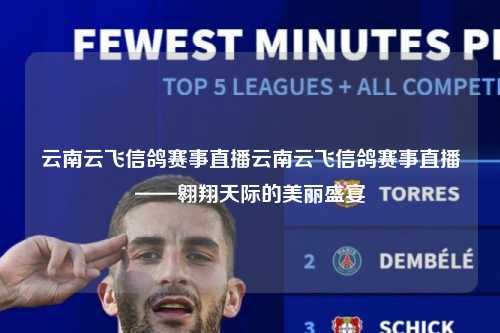 云南云飞信鸽赛事直播云南云飞信鸽赛事直播——翱翔天际的美丽盛宴