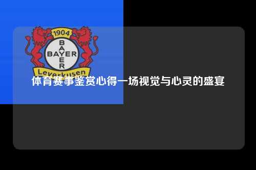 体育赛事鉴赏心得一场视觉与心灵的盛宴