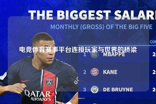 电竞体育赛事平台连接玩家与世界的桥梁