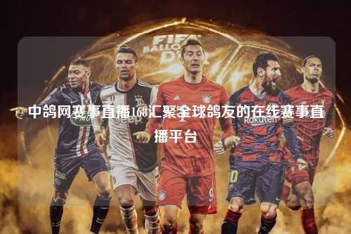中鸽网赛事直播168汇聚全球鸽友的在线赛事直播平台