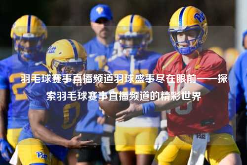 羽毛球赛事直播频道羽球盛事尽在眼前——探索羽毛球赛事直播频道的精彩世界