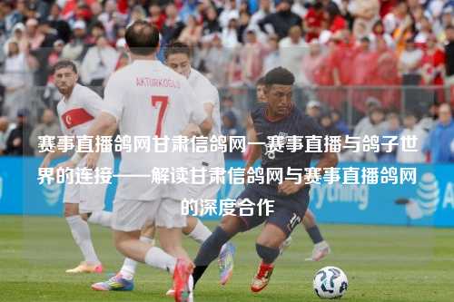 赛事直播鸽网甘肃信鸽网一赛事直播与鸽子世界的连接——解读甘肃信鸽网与赛事直播鸽网的深度合作