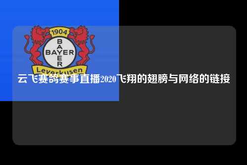 云飞赛鸽赛事直播2020飞翔的翅膀与网络的链接