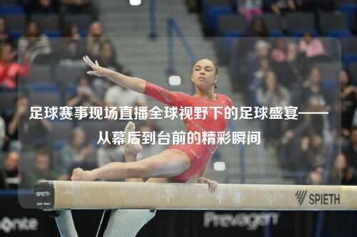 足球赛事现场直播全球视野下的足球盛宴——从幕后到台前的精彩瞬间